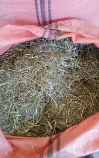 فروش یونجه درجه یک