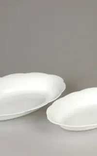 مرغ خوری