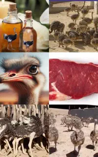 گوشت نرمه خالص بدونه کوچکترین چربی و استخوانی