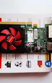 Amd