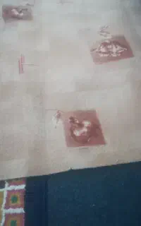 موکت