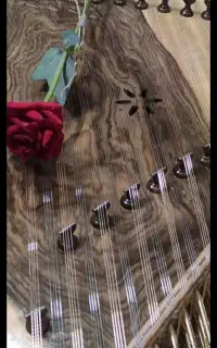 آموزش سنتور