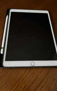 ipad pro 10.5 inch با قلم