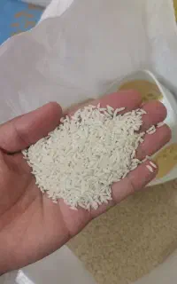 بـرنج محـلی عمـده