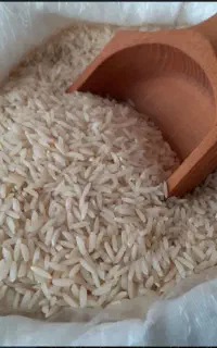برنج پیش فروش