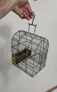 قفس سهره