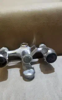 شیر دوقلو حمام بهمراه علمک