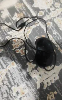 موس