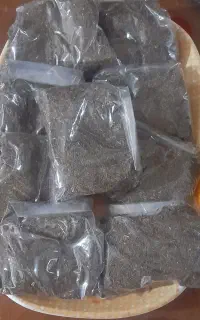 زیره کوهی اصل خوش عطر وبو امسالی