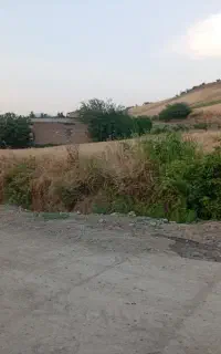 زمین مسکونی