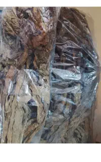 تنباکو جاسکی