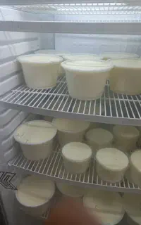 کارگرلبنیاتی