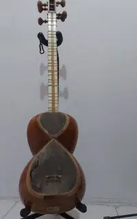 ساز تار + کاور