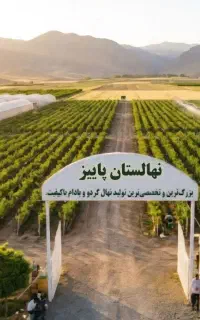 پیشفروش نهال زردآلو عسگر آباد مقاوم به سرمای بهاره
