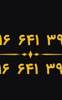 ۰۹۱۶.۶۴۱.۳۹۰۲ ۰۹۱۶.۶۴۱.۳۹۰۶