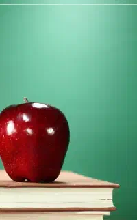 کلاس زبان انگلیسی، با سیستم آموزشی دانمارک