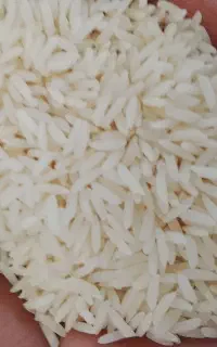 برنج هاشمی درجه یک