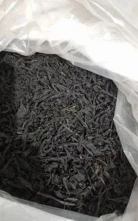 آشامیدنی