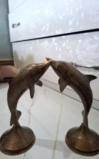 دلفین برنجی