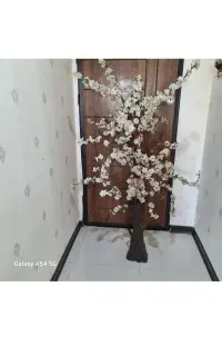 شکوفه بهاری