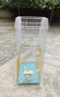 قفس پرنده