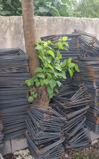 تعدادی  خاموت اماده به ابعاد۵۰×40استاندارد