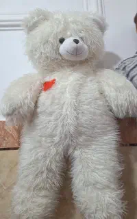 خرس شاسخین