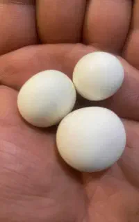سنگ الماس اسیاب