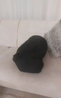 ضرب تک مهر اصفهان نوین