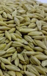 جو خارجی