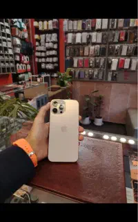 13Pro