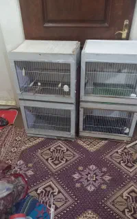 قفس‌حیوانات