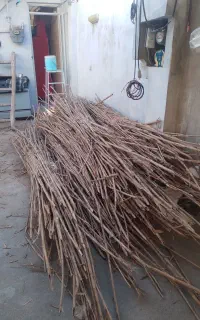 نی برای کلبه سنتی یادورزمین باغی