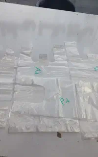 مشما درجه 1 به صورت عمده و کیلویی