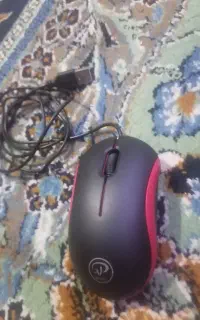 mouse