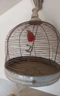 قفس پرنده