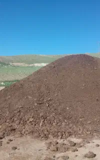 کود حیوانی