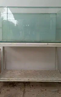2 عدد آکواریوم