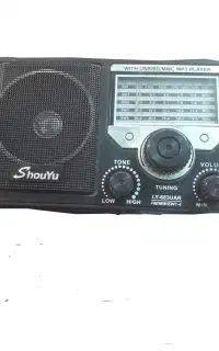 اسپیکر رادیودار هم فلشخور هم ،رم خور