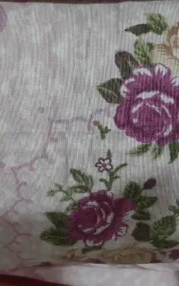 تشک پنببه