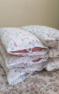 بالشت پر