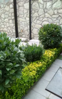 انجام کلیه امور باغبانی (بانمونه کارهای واقعی )