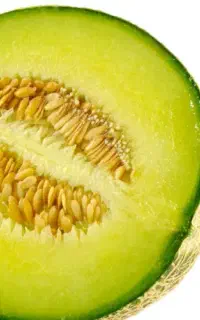 طالبی