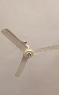 پنک سقفی