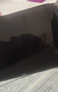تلویزیون
