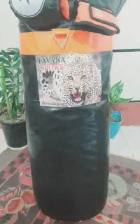 کیسه بوکس به همراه دستکش