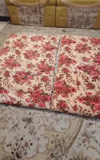 دوعدد‌تشک‌پنبه‌ای