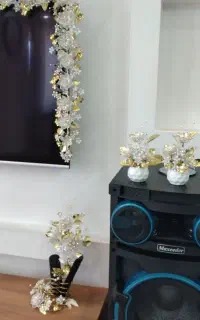 ریسه گل رو تلویزیون