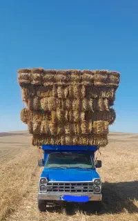 کاه و کلش پرس بسته بندی گندم و جو