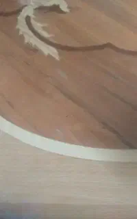 میزناهارخوری
